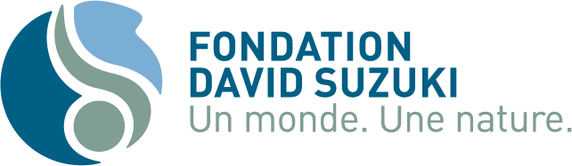 Frenchuncompressedlogo